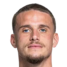 蒂波特·维林登头像