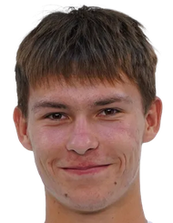 弗拉基米尔·瓦夫里纽克头像