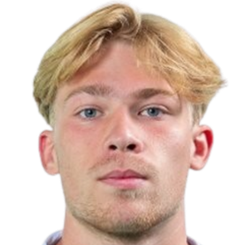 维克托·德·科宁克头像