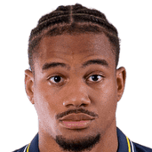 泰里克·阿康特头像