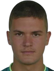 瓦西里耶·巴基奇头像