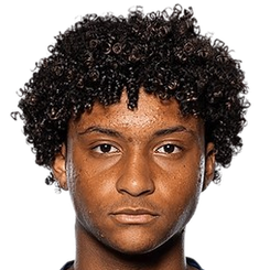 阿尼斯·萨伊迪头像