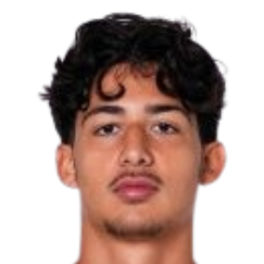 埃姆雷·詹·杜兰头像