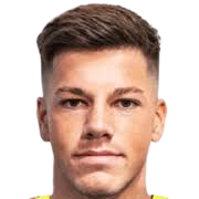 丹尼斯·摩尔多瓦头像