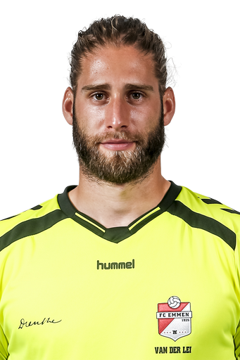 斯特凡·范德莱伊头像