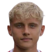 芬·海德里希头像