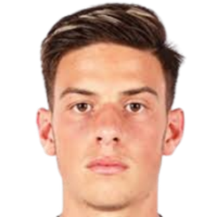 埃利安·德米罗维奇头像