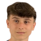 丹尼斯·法利奇	头像