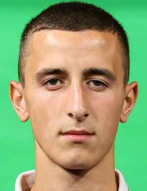 阿列克·拉玛丹尼头像