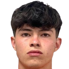 塞萨尔·卢戈·阿塞韦斯头像