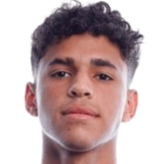 亨利·迪亚兹头像