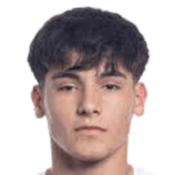 米兰·弗雷雷斯头像