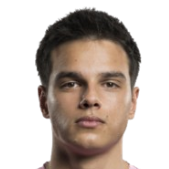 丹尼·范登·休维尔头像