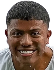 尼古拉斯·瓦伦西亚头像