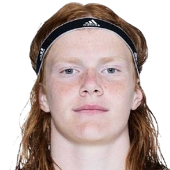 埃尔维斯·兰德·范头像