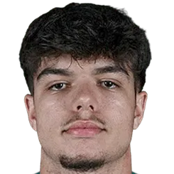 克拉斯尼奇头像