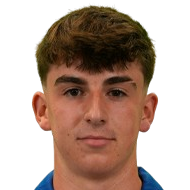 艾斯迪扎兰头像