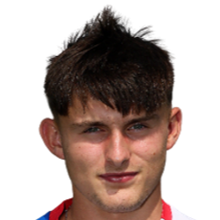 多米尼克·安杰伊·比涅克头像