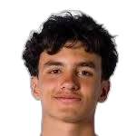 埃米利亚诺·维拉塞诺头像