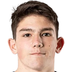 弗兰·斯夫拉卡头像