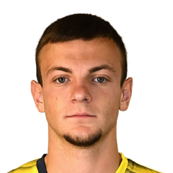 丹尼斯·霍卢布头像