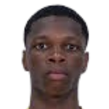 加布里埃尔·阿尔维斯·米内罗·加尔迪诺·多斯桑托斯头像