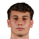 法比安·扬科维奇头像