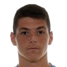 杜尚·武科维奇头像