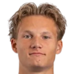  维特斯·弗里斯头像