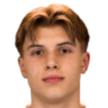 法比安·克瓦姆头像