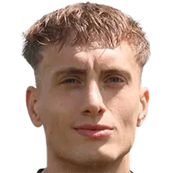 大卫·维塔塞克头像