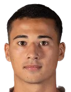 拉斐尔·普罗菲尼头像