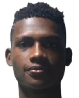 法比安·查韦拉头像