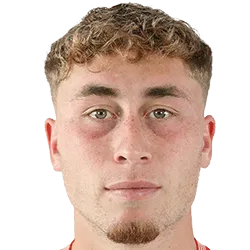 达里奥·贝纳维德斯头像