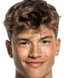 达米安·范德法特头像