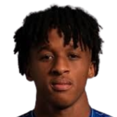 卡多索·瓦雷拉头像