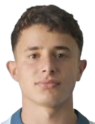 加洛·沃尔佩头像