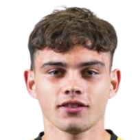 纳乌尔·赫雷拉头像