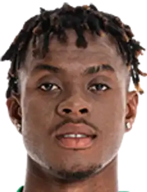 亚历克斯·奥波库·萨尔福头像