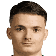 迪诺·萨尔西诺维奇头像