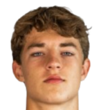 鲁德·尼斯塔德头像