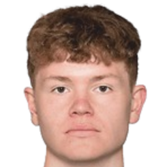 麦克斯·诺德曼·威廉森头像