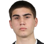 阿列科·巴西拉泽头像