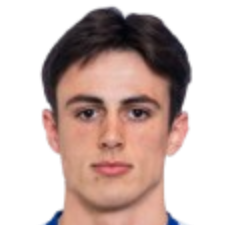 维加德·索尔海姆头像