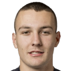 大卫·武耶维奇头像