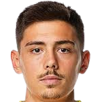 丹尼斯·哈迪兹卡杜尼奇头像