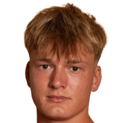 维克多·霍伊比约头像