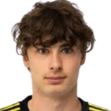 阿明·海德尔头像