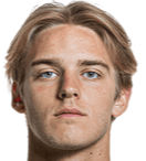 尼古拉·维斯蒂森头像