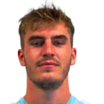 维基提克·奇泰克头像